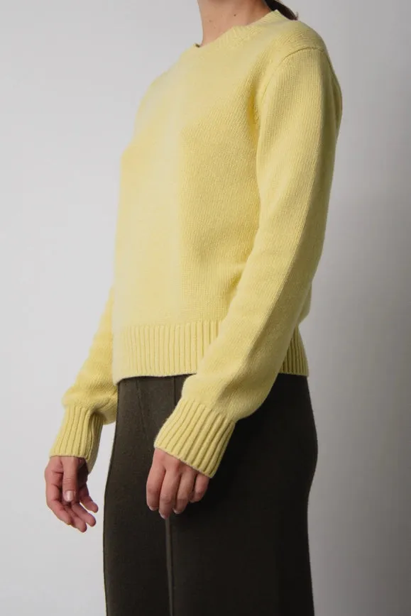 Cashmere Mix Crewneck Sweater Honey