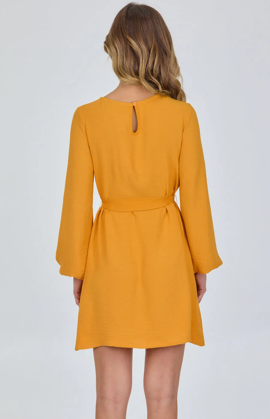 Round Neckline Long Sleeve Shift Dress